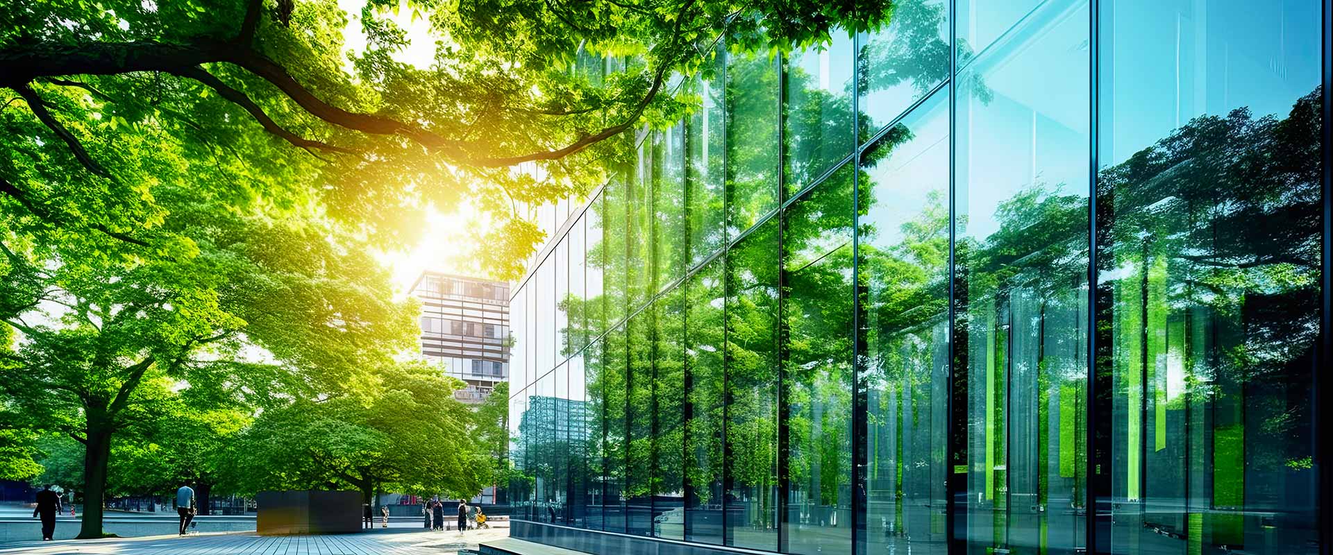 friend-meeting-in-the-yard-